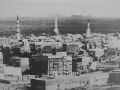 medine044