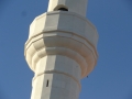 DSC03639